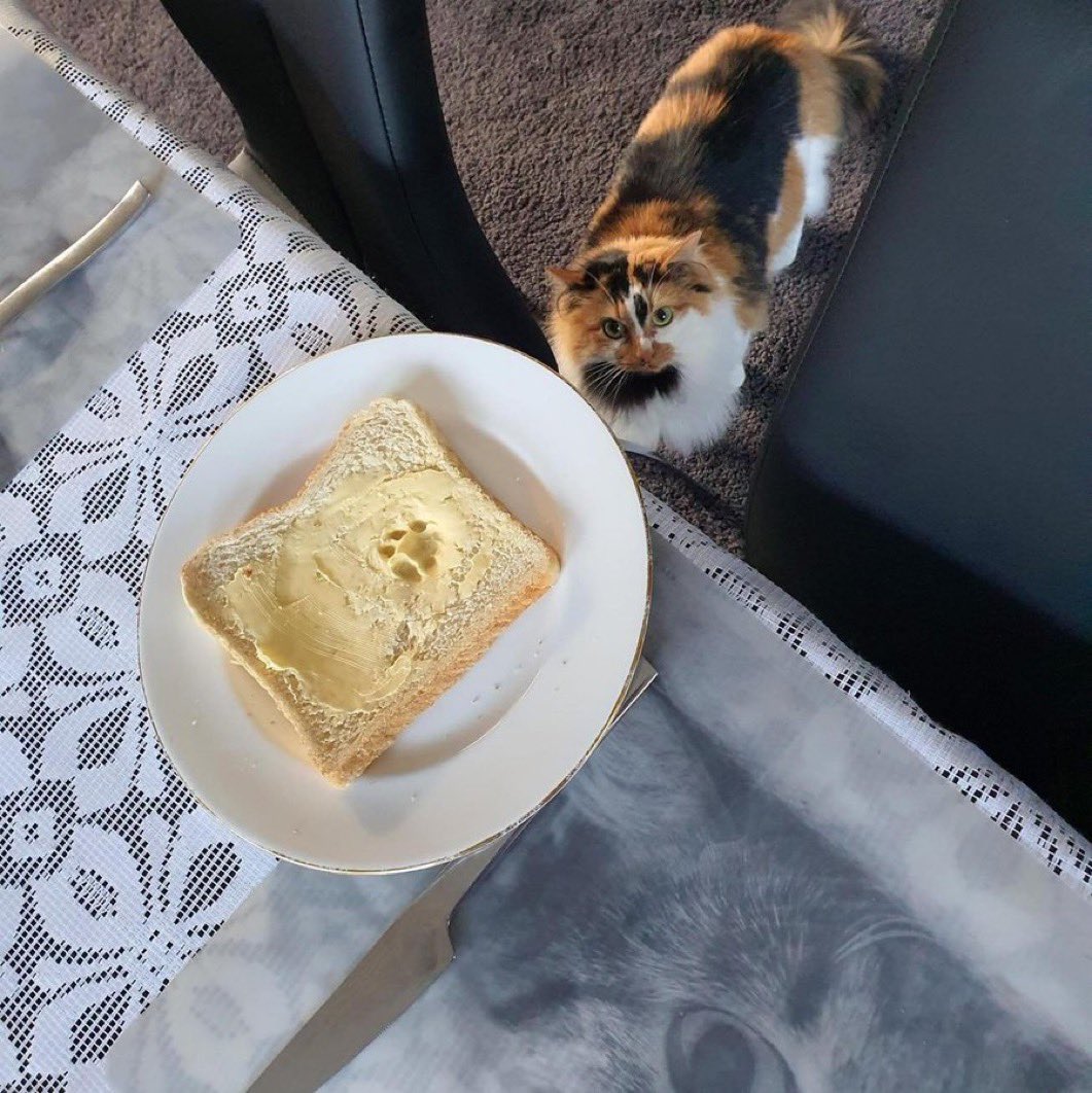 could’ve been anyone