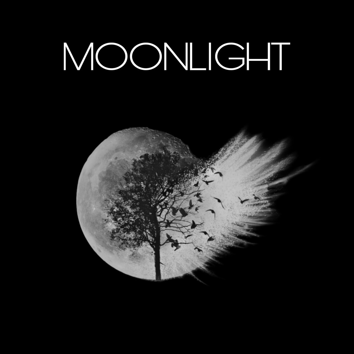 Oh wow such a beautiful reception to this track is happening on my instagram! Twitter friends please enjoy my new high octane post punk song -  open.spotify.com/track/3oK8ACFO…