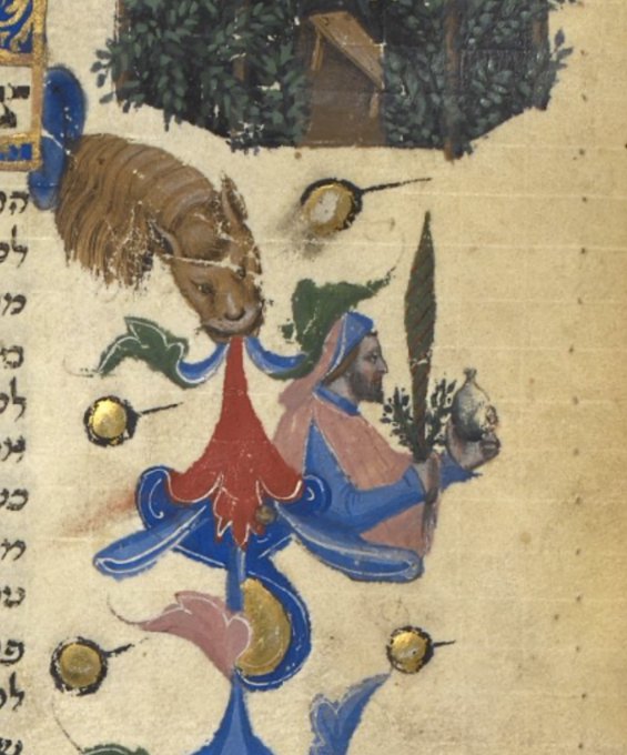 Sukkot begins at sunset on 16 October: here's  depicted a sukkah and a man holding a lulav branch and an etrog. 
#Sukkot   
BL Or 5024; Pisḳe R. Yeshayah Aḥaron (Halakhic decisions of Isaiah of Trani, the younger); 1374 CE; Italy N; f.70v <a href="/BLAsia_Africa/">BL Asian and African</a> <a href="/BL_HebrewMSS/">BL_HebrewMSS</a>