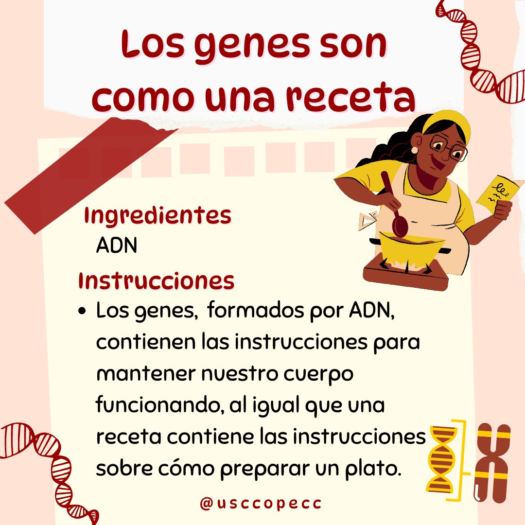 Understanding our genetic "recipes" can help us learn more about our health and make informed choices.
#genes #genetics #cancerdisparities #healthequity #cancerresearch #HispanicHealth #patientengagement #researchunit #nci #pecgs #moonshotinititative #DNA #ADN #cancer