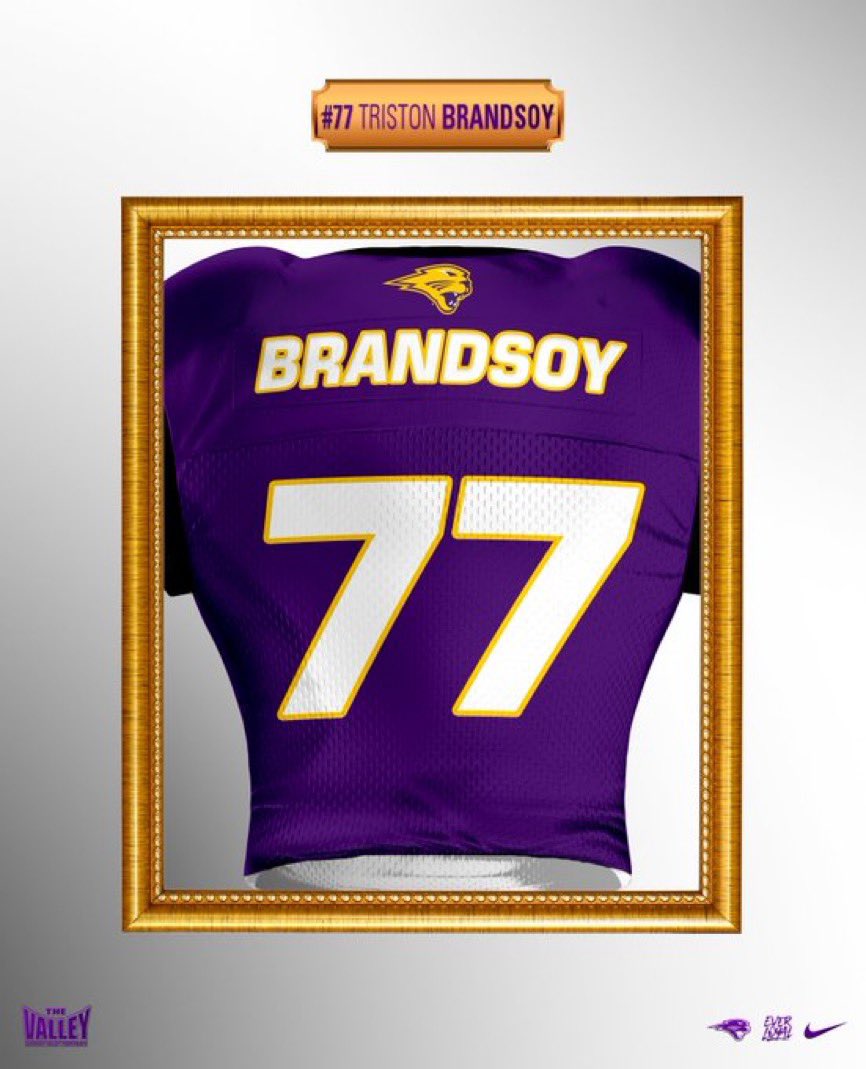 Triston Brandsoy tweet media