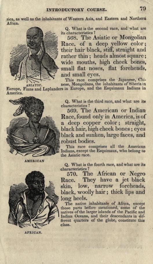 chief peanut Nola 504 Silver wolf tweet media