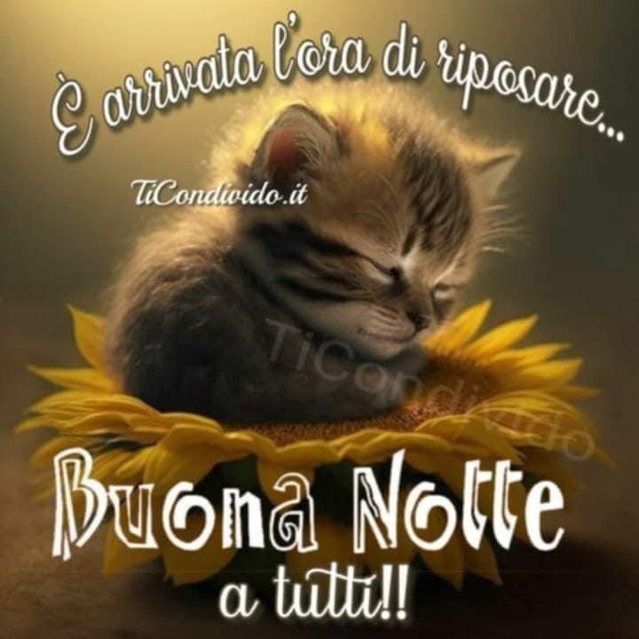 RITABIANCHi56 tweet media