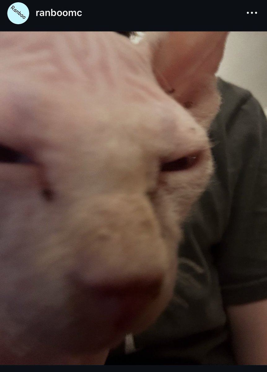 Prawn update !!! He is in a photo Ranboo uploaded on their instagram :3