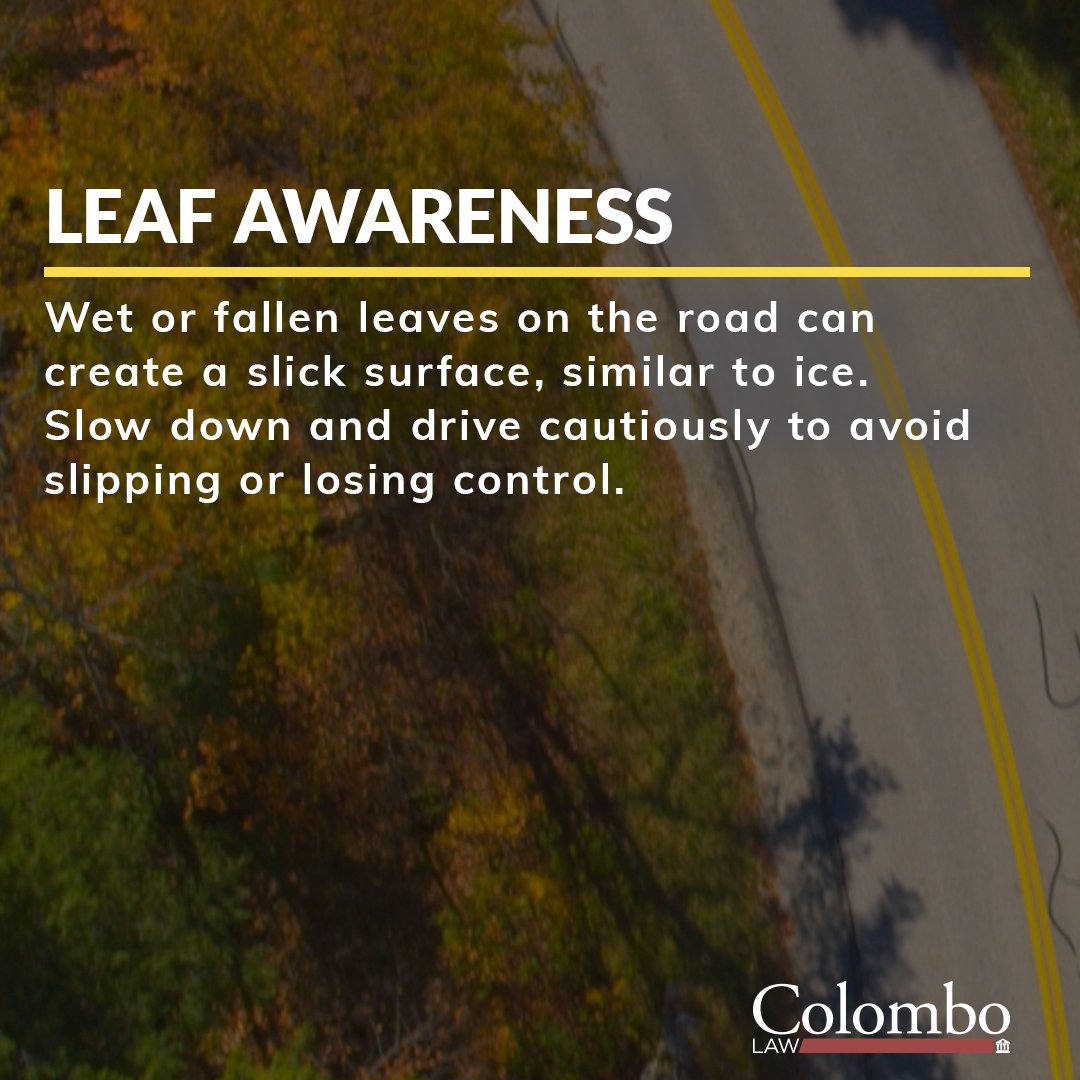 ColomboLaw's tweet image. Stay safe this fall with these simple driving tips!

#ColomboLaw #FallDriving #LegalAdvice #SafetyFirst