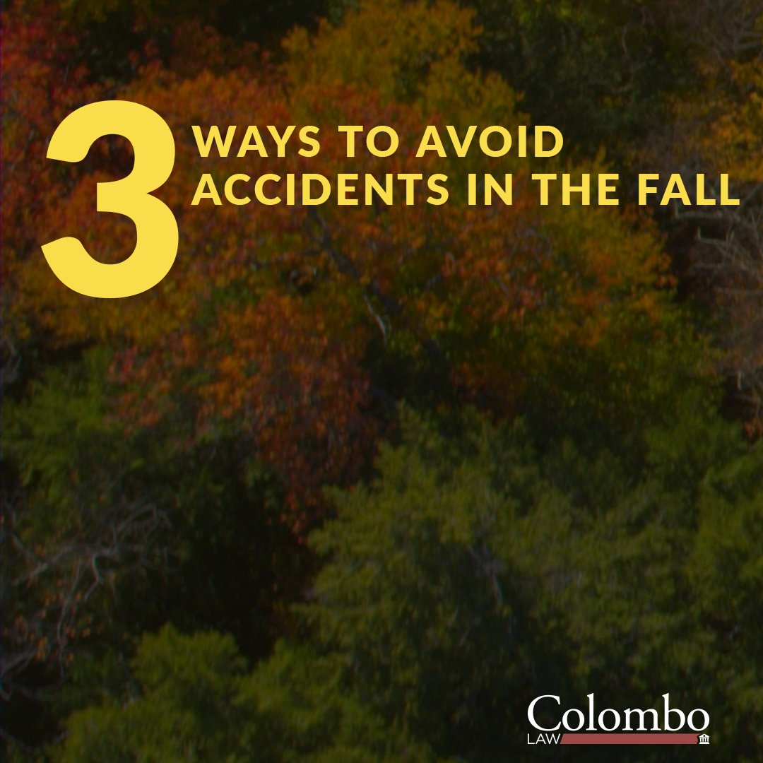 ColomboLaw's tweet image. Stay safe this fall with these simple driving tips!

#ColomboLaw #FallDriving #LegalAdvice #SafetyFirst