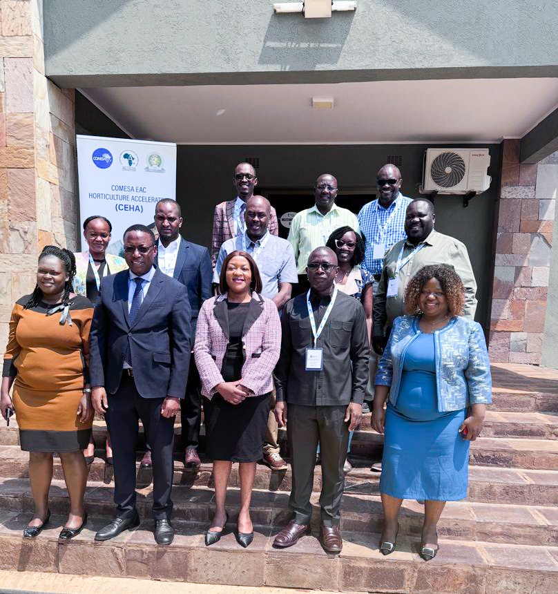 HEAR_Rwanda's tweet photo. Exciting Update: Our chairman , Robert Rukundo, and Treasurer, @fred_rwigamba 🇿🇲, are currently Lusaka, Zambia , for the four-day #COMESA #CEHA workshop. They’re working on validating the #CEHA Regional Horticulture Strategy 2025-2035 to unlock the sector's immense potential https://t.co/tVd7sJSIEM