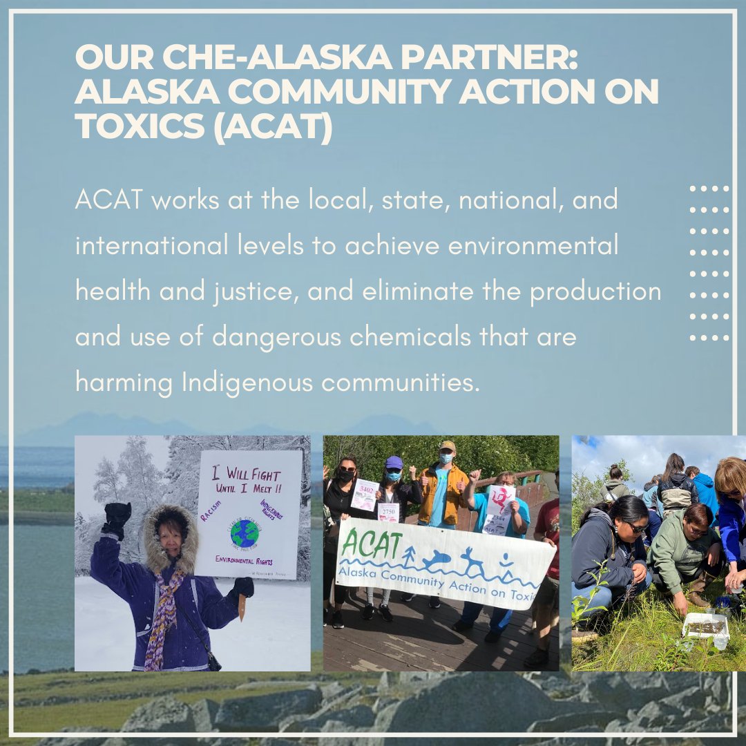 This #IndigenousPeoplesDay, we highlight the crucial connection between Indigenous rights &amp; environmental health - &amp; the vital efforts of our CHE-Alaska partner <a href="/ak_action/">ACAT</a>. 

ACAT works tirelessly to promote environmental health &amp; justice through their community-based research.