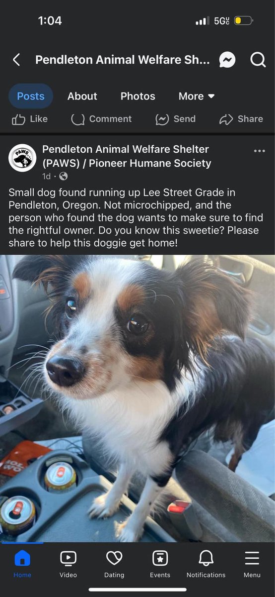 Shaindel Beers 🍻 tweet media