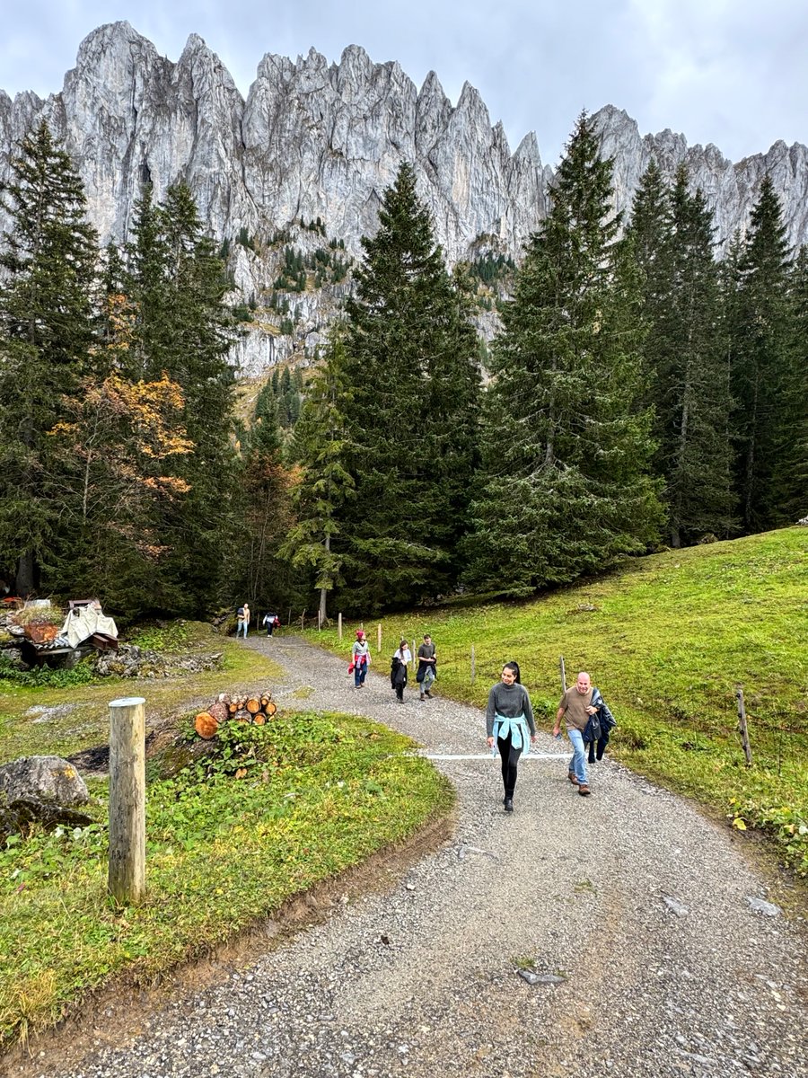 #Degradation resistant #tumors - grant funded by German-Israeli foundation for teams from <a href="/goetheuni/">Goethe-Universität</a>, <a href="/HelmholtzMunich/">Helmholtz Munich | @HelmholtzMunich</a> &amp; <a href="/TechnionLive/">Technion Israel</a>. 

We rented a cottage in the beautiful Swiss Alps for our retreat. Discussing science, walks, peaceful nights with stars, fondue and fun... 😊