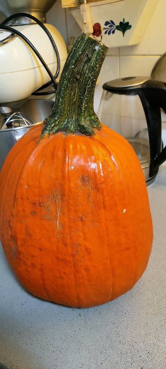 Laurina5012's tweet photo. Zo eens even wat #creatiefs met deze #pompoen gaan doen.....#pumpkin #carving https://t.co/ixc4d00fOL