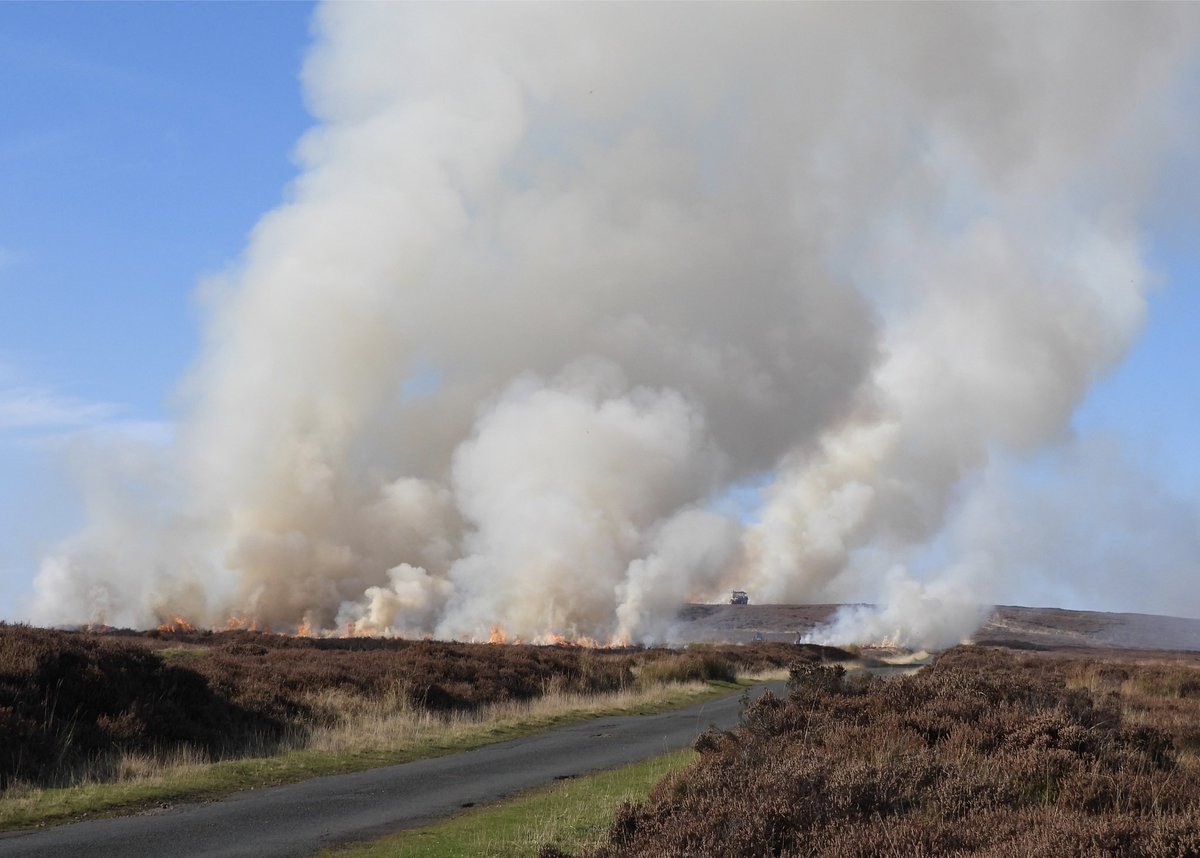 NeilSimms1's tweet image. Percy Rigg, North Yorkshire. One of three burns that managed to cover Guisborough in thick smoke today. Please click like if you don’t like @nybirdnews @nymnptrust @teesbirds1