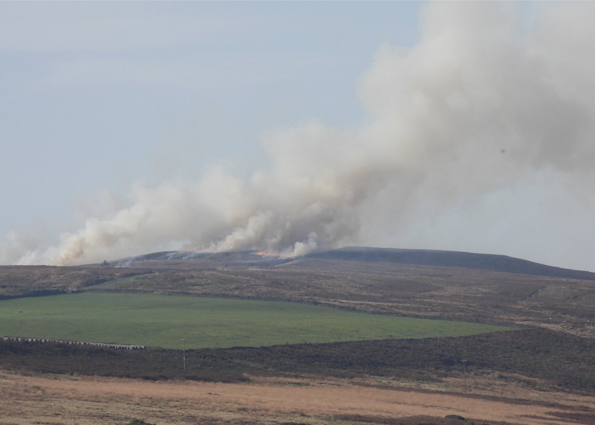 NeilSimms1's tweet image. Percy Rigg, North Yorkshire. One of three burns that managed to cover Guisborough in thick smoke today. Please click like if you don’t like @nybirdnews @nymnptrust @teesbirds1