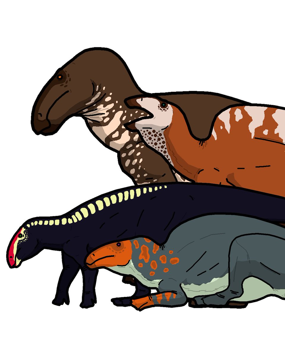 Some cows and horses:D
#paleoart #sciart #dinosaurs #ornitopods #cretaceous
