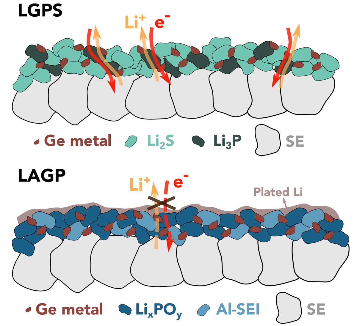 pastagroup tweet media