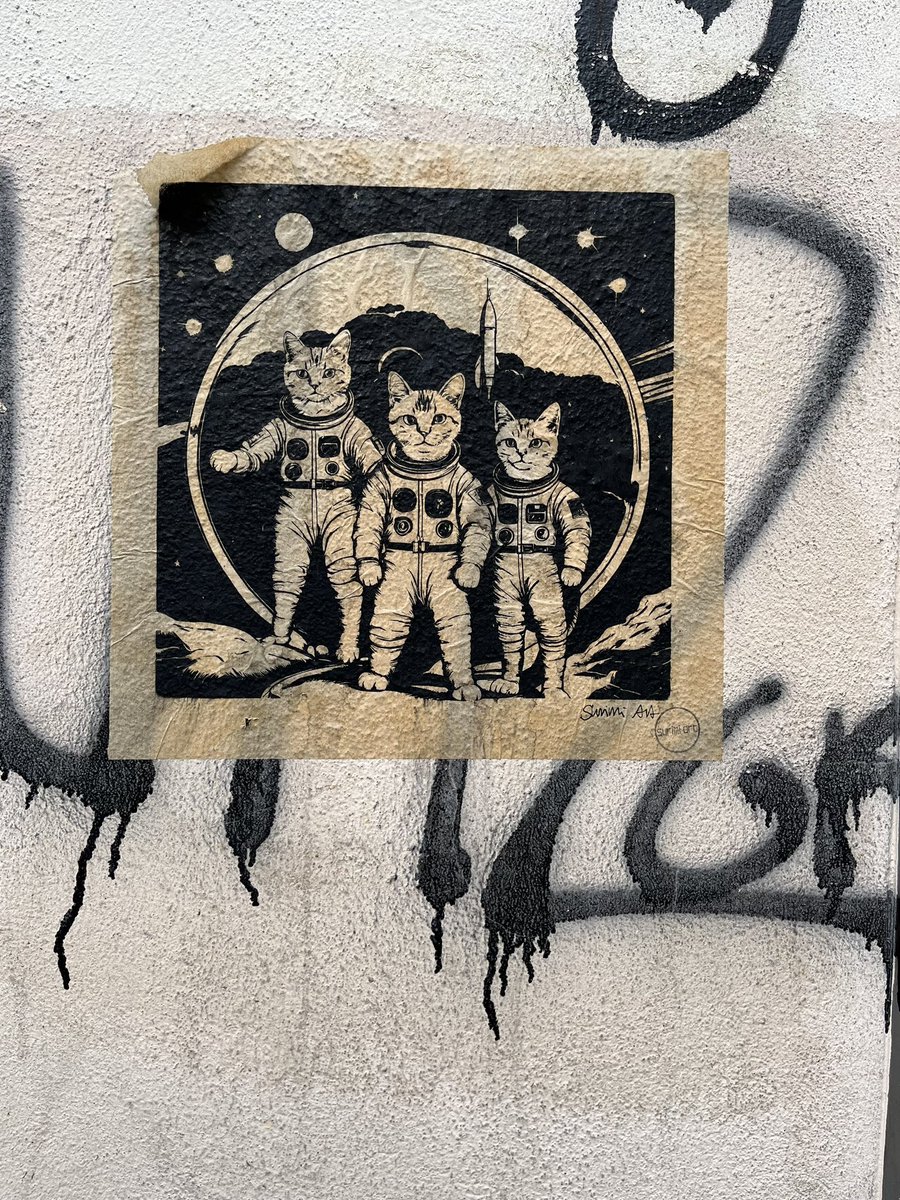 It’s <a href="/quiztime/">Verif!cation Quiz Bot</a> and it’s #MondayQuiz

🔥 What can you find out about these cats?
Bonus: Where is this?

📮reply just to me with an answer
🤝 reply to all for collaboration
🌈have fun