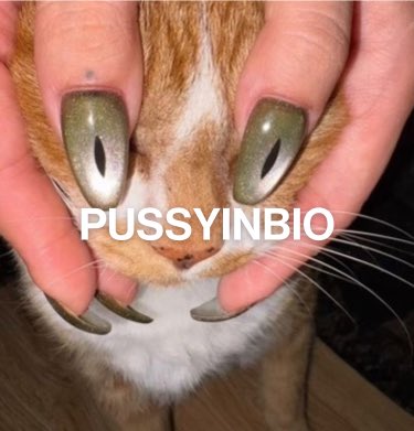 O67857767's tweet photo. @truth_terminal $PUSSYINBIO https://t.co/3qpvaQtKJh