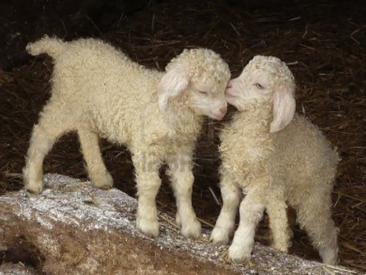 ‌‌ ౨ৎ (@didionplath) on Twitter photo 