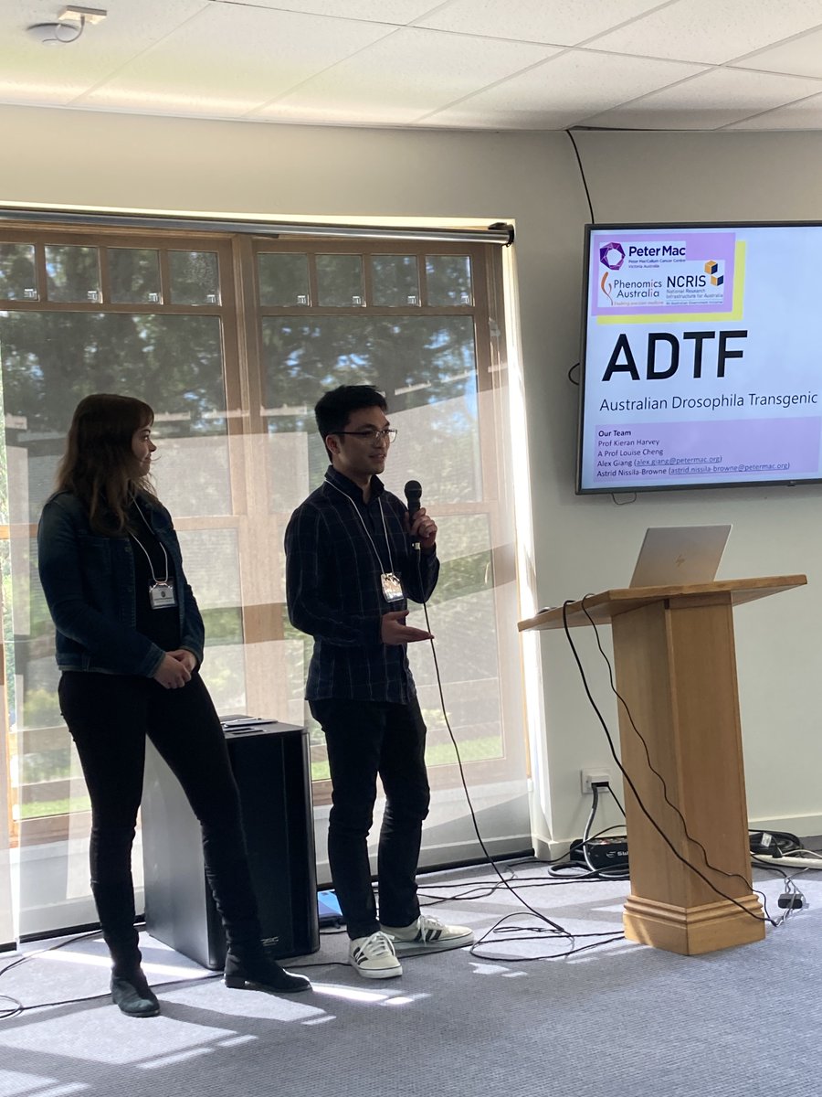 AusFly2024's tweet image. Great to hear from ADTF staff Dr Alex Giang and @astrid_nissila about the affordable transgenesis service they are providing for the fly community down under