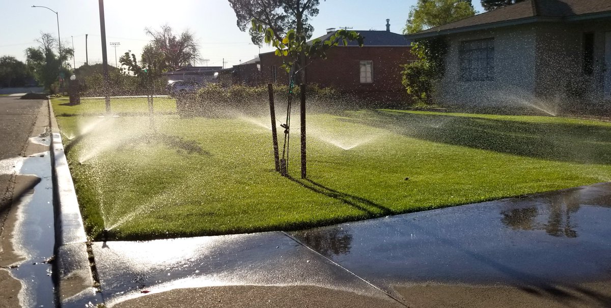 Alicia Goforth (@mesadistrict5) on Twitter photo Are you considering a break from the traditional winter lawn? It's not just about the green -- it's also about saving precious H2O! Discover the top 10 reasons to let your Bermuda grass snooze this winter! Learn more at my.mesaaz.gov/3a9Eun3.
<a href="/WUIW/">Water-Use It Wisely</a> #SkiptheLawn #SaveWater Are you considering a break from the traditional winter lawn? It's not just about the green -- it's also about saving precious H2O! Discover the top 10 reasons to let your Bermuda grass snooze this winter! Learn more at my.mesaaz.gov/3a9Eun3.
<a href="/WUIW/">Water-Use It Wisely</a> #SkiptheLawn #SaveWater
