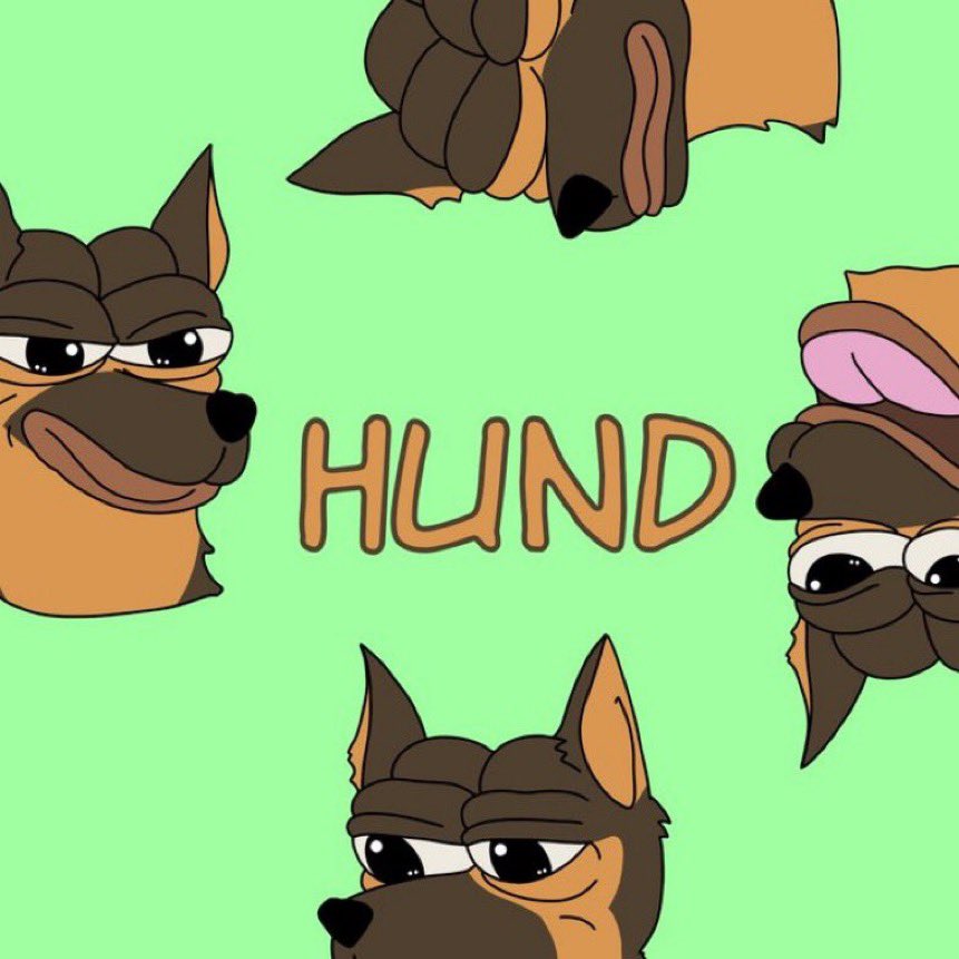 HUND | Official tweet media