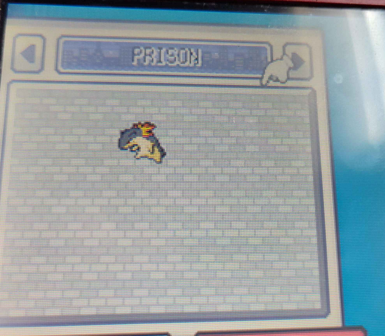 DarkParthon's tweet photo. Where Typhlosion Belongs #Pokemon #Teraleak https://t.co/W69rh4cPde