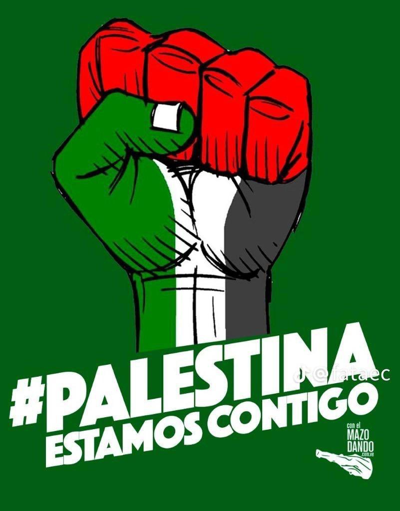✊️ Basta ya del Genocidio en Palestina, fin a tantas muertes de inocentes!!!
....Sólo le pido a Dios
Que la guerra no me sea indiferente
Es un monstruo grande y pisa fuerte
Toda la pobre inocencia de la gente....
‼️Viva Palestina Libre‼️
#FreePalestine 🇵🇸