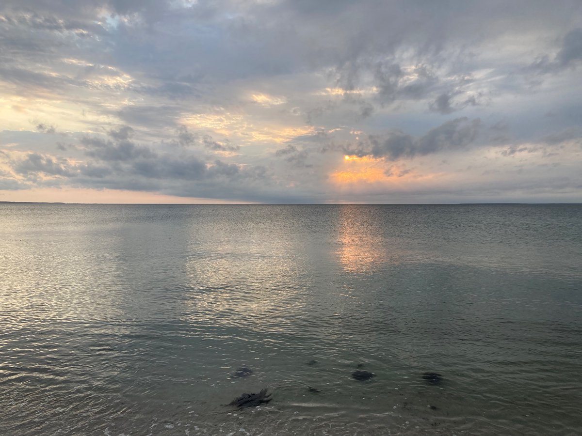 Trecemadrones's tweet image. Sunset on Cape Cod…right before a rain storm. 
#smallbeautieshour #becauseofclem #threadofgold