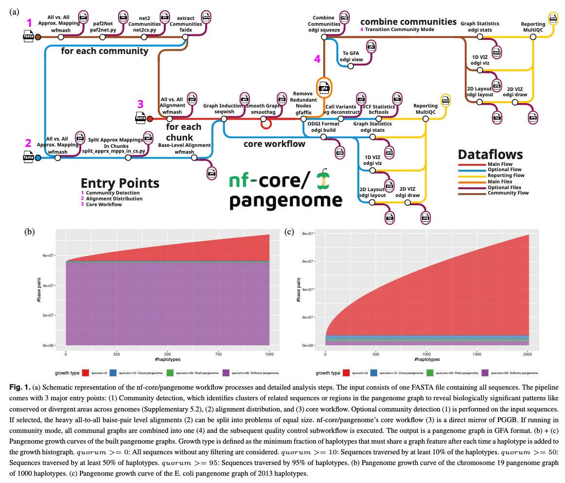 Cluster-efficient pangenome graph construction with <a href="/nf_core/">nf-core</a> pangenome academic.oup.com/bioinformatics…