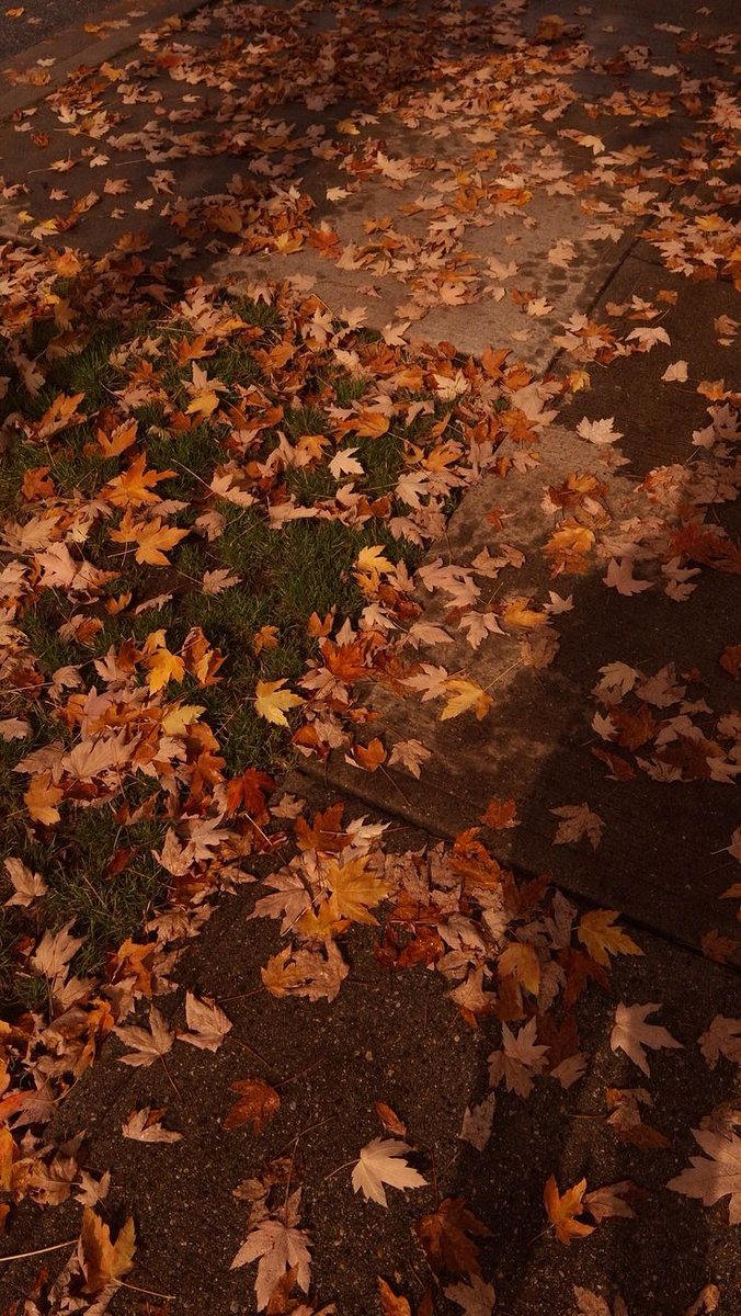 threadsandpolls's tweet photo. ⋆˚✿˖°𐙚 let's have an autumn cozy day!

              🤎☕️🍂🌥🍯

an interactive thread ⋆˚✿˖°𐙚 https://t.co/ikoPXVl3EN