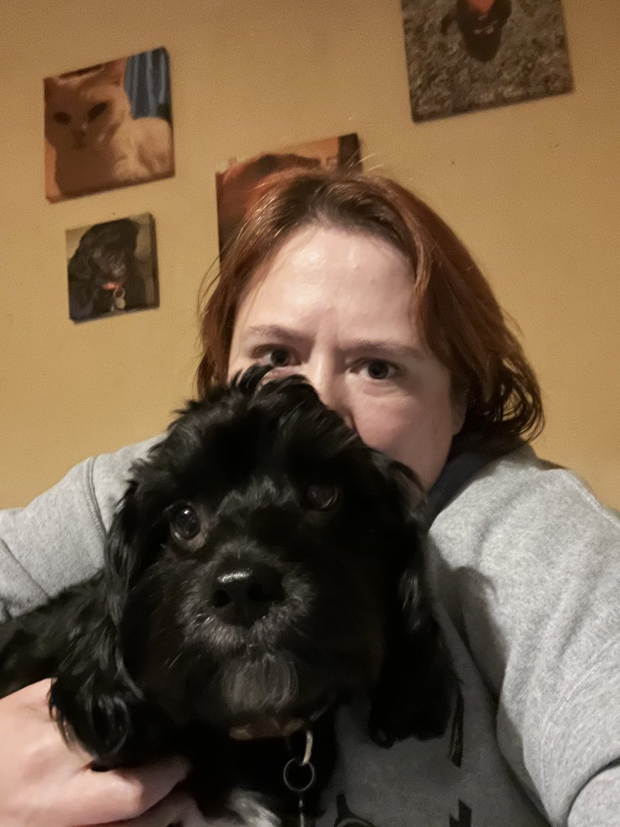 Mumma haz der rona agen! I don’t mind, it meens she haz to stay home wiv me all week and not go wurky place