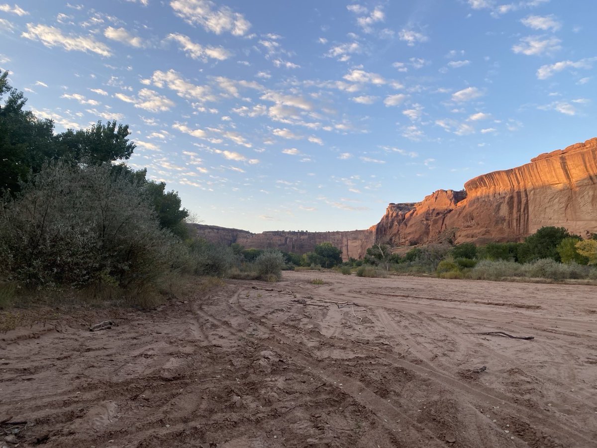 Deb Haaland tweet media