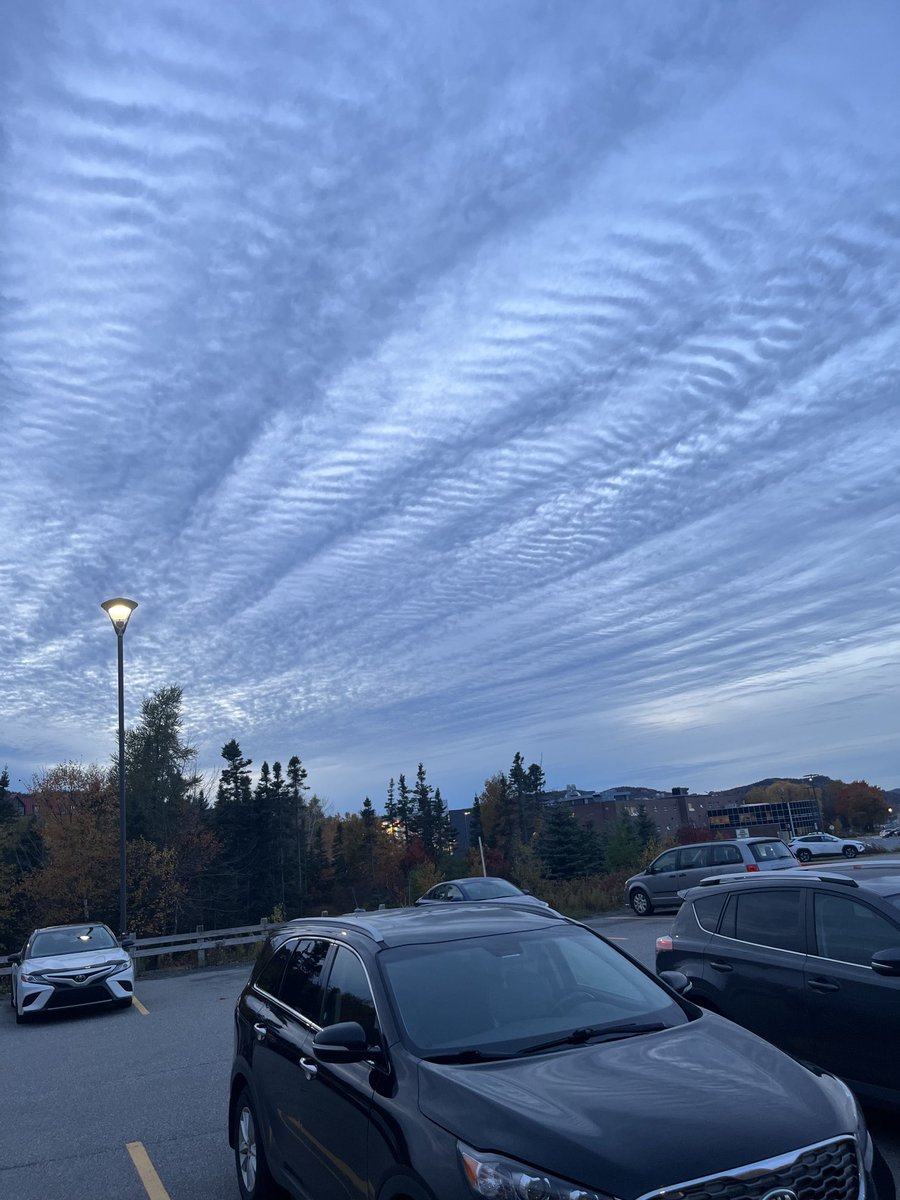 ⁦<a href="/EddieSheerr/">Eddie Sheerr</a>⁩ What are these clouds called? Monday in Corner Brook