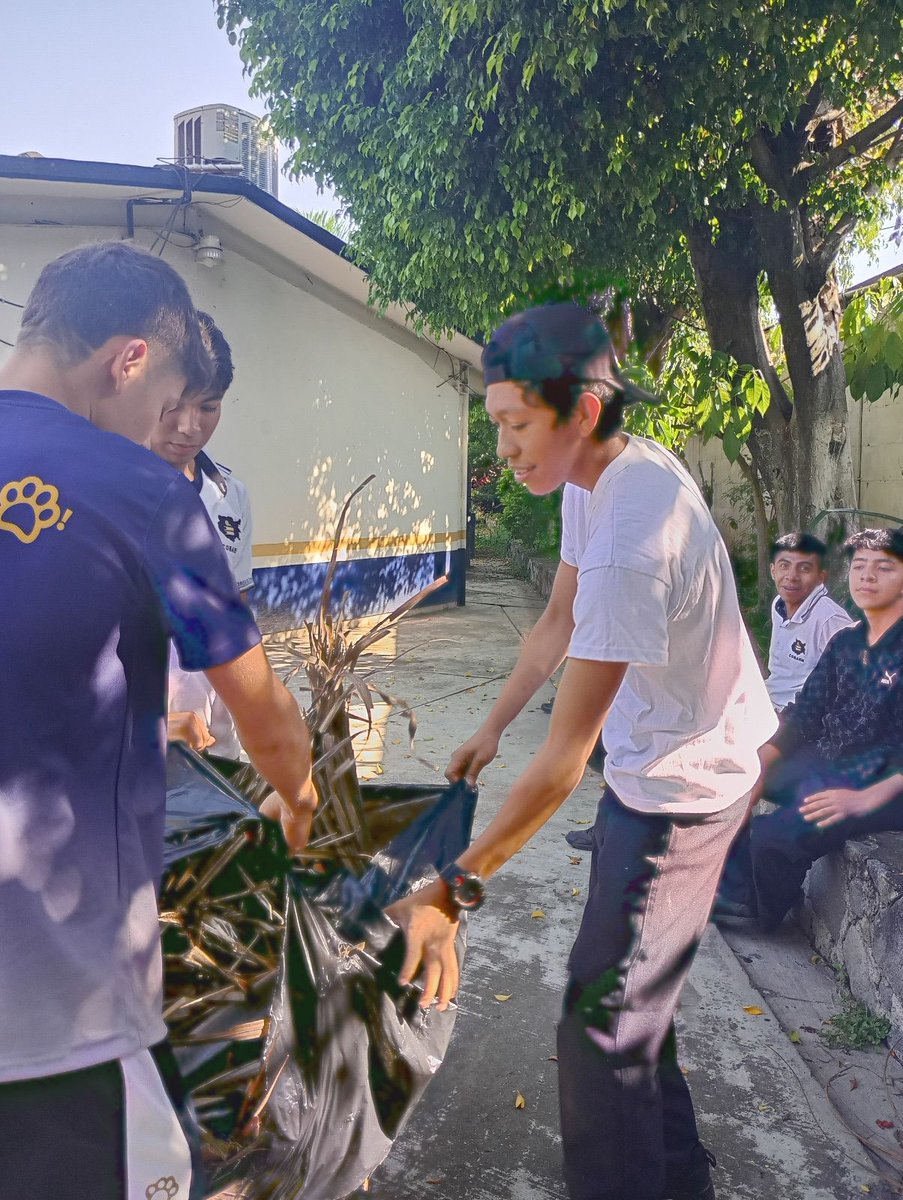 Cobaem_Morelos's tweet photo. 📷 En el marco del programa institucional #ECOBAEM, los estudiantes del grupo 107 del turno vespertino realizaron una jornada de limpieza en seguimiento a la actividad "Adopta una jardinera", a cargo de la docente Mirna Zacarías Román. https://t.co/vcNpGxoJxw