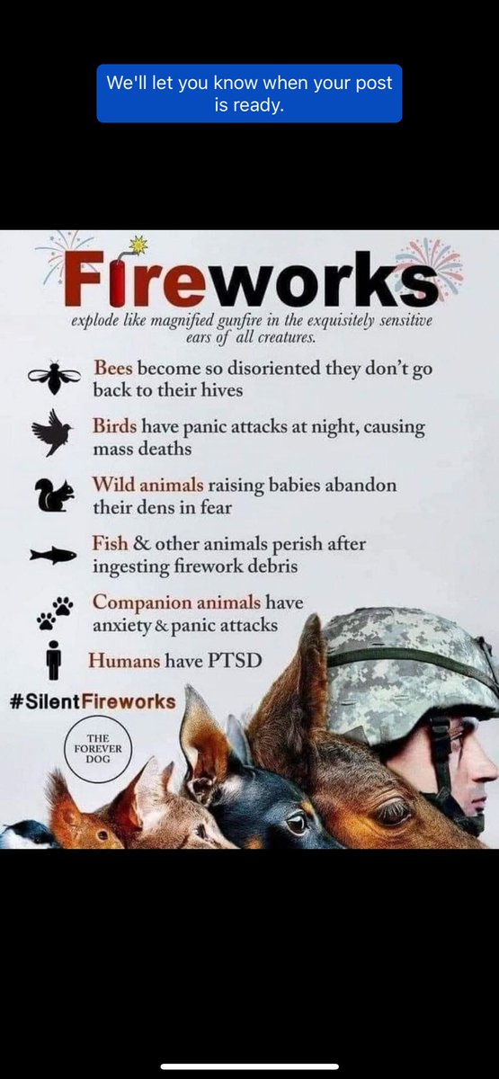 #AnimalWelfare
Be kind to animals and your fellow human beings. Please desist from using #Fireworks this #Halloween
Maybe just stick to organised events. Please watch out for our most vulnerable both animals and humans.
Thank You 🐾