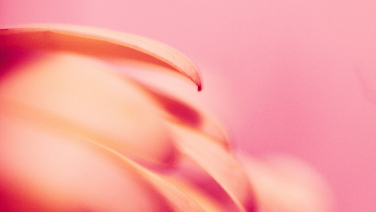 bram_naus's tweet image. I just came across one of the coolest free fonts I’ve seen in a while.

Think Helvetica, but with pixel alternates. Every time you type, different pixels emerge.

Download Free Font (№76) below.

Design by @Fontfabric