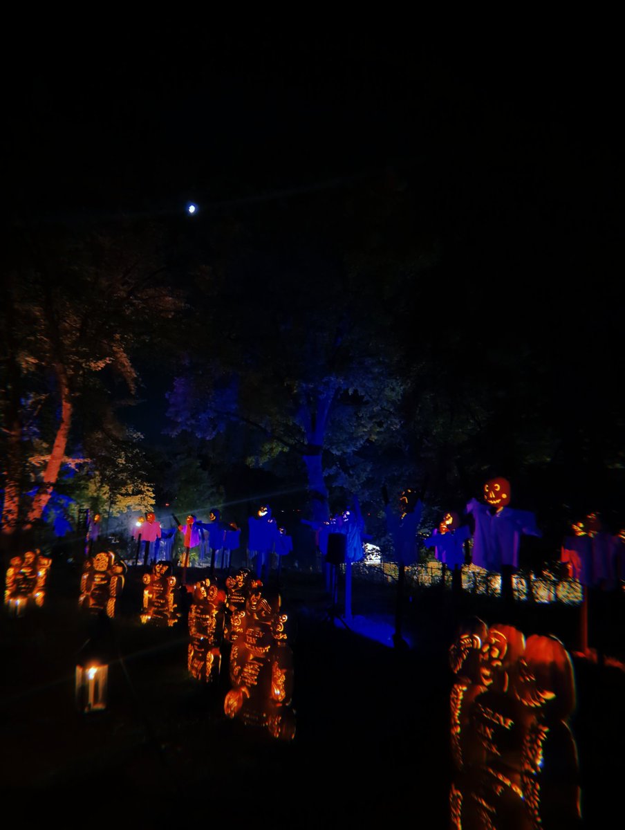 ⛧ JD ⛧ (@jdavidsen) on Twitter photo 