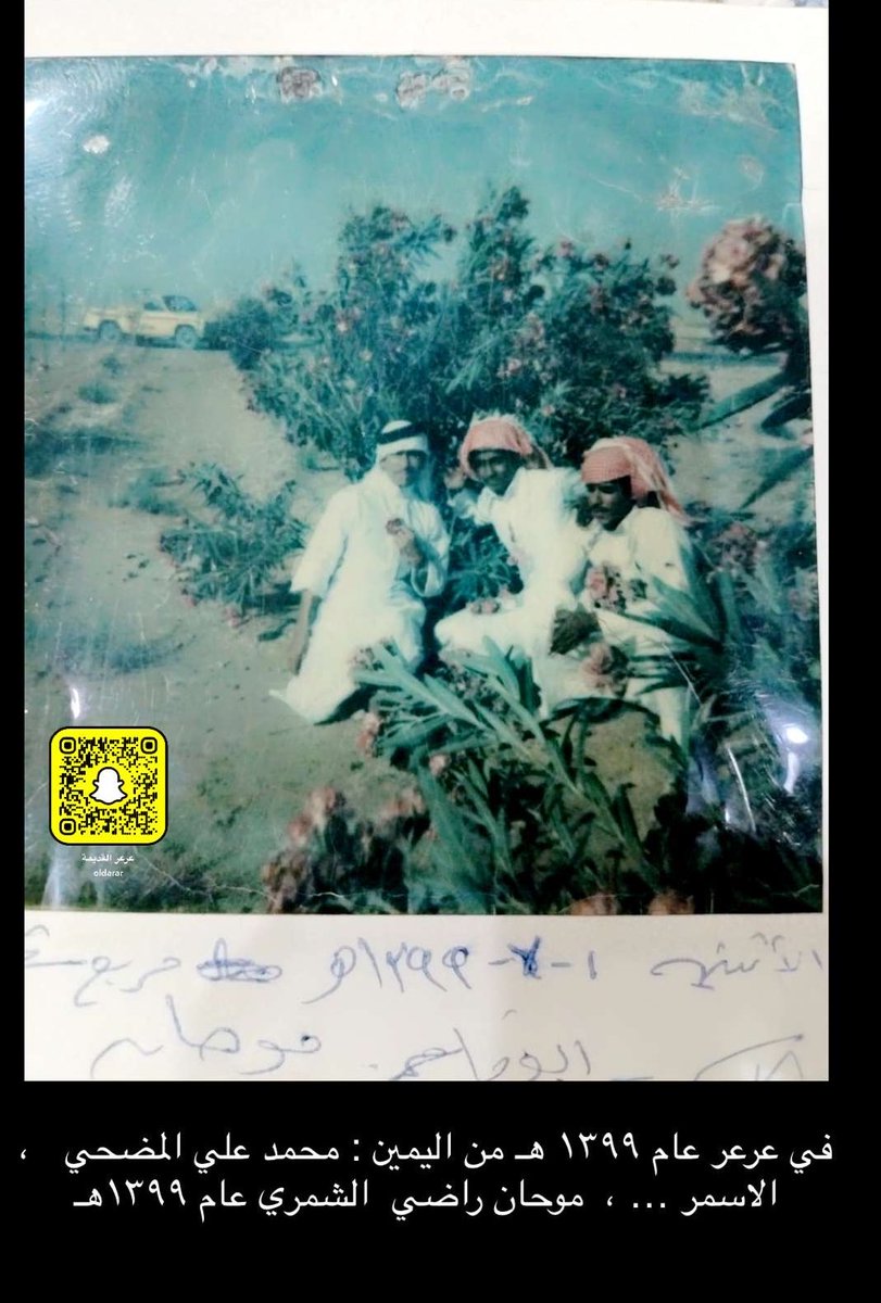 عرعر القديمة tweet media