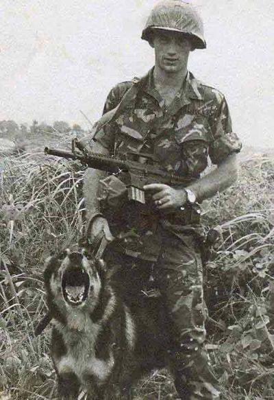 Military dogs. United States Air Force (USAF) Security Forces (SF) Vietnam