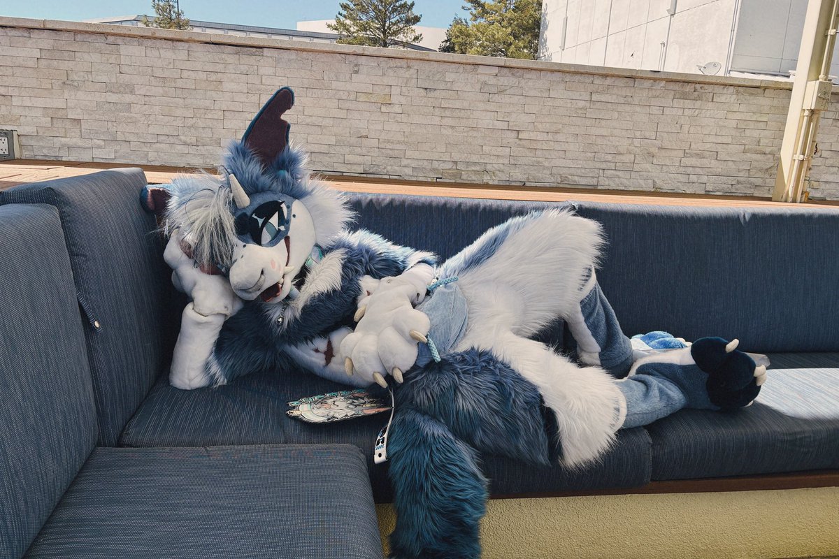 starbombsheep's tweet image. some more blfc pics for you guys as a treat &lt;3
#BLFC2024