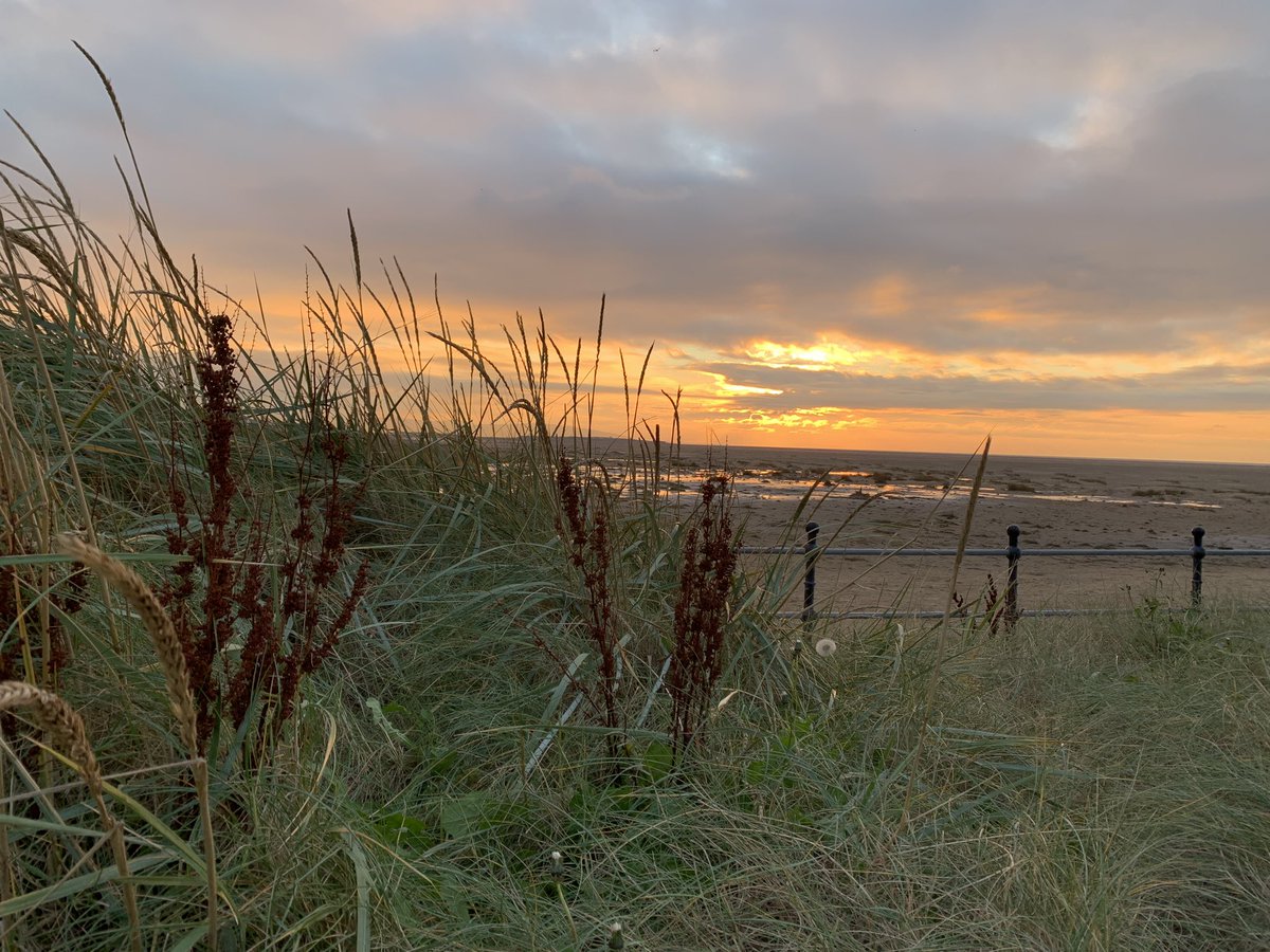 Finished the first day of my JavaScript course. It’s pretty exciting! 🥰