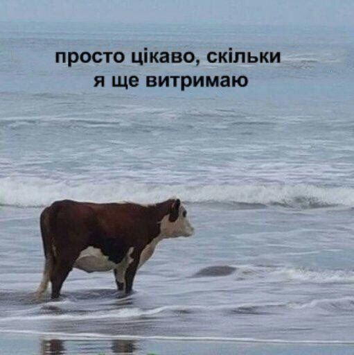 Питання до тих хто зараз в Ірландії 🇮🇪 або має там знайомих

Мене тут дуже підвели із житлом, тож, може, ви знаєте когось, хто був би не проти прийняти до себе українця по ARP програмі?