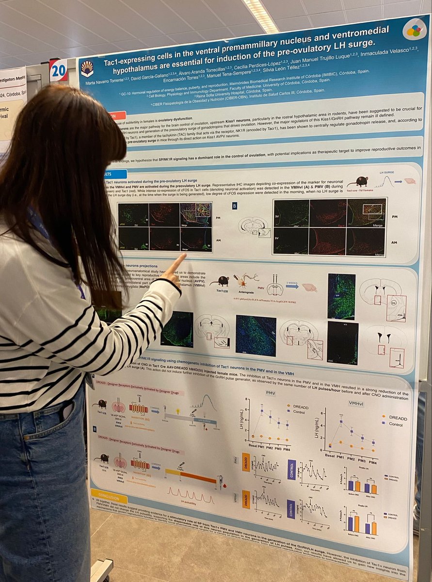 PubMet (@pubmetts) on Twitter photo Today 15th Young Investigators Meeting has began at <a href="/IMIBIC/">IMIBIC</a> and our group has participated with two amazing talks from <a href="/ManuelJPuyer/">Manuel Jiménez</a> and <a href="/CTorres_G/">Carmen Torres</a> and two stunning poster presentations from <a href="/alvaroarator/">Álvaro Aranda</a> and Marta Navarro. We hope to continue enjoying much more science tomorrow. Today 15th Young Investigators Meeting has began at <a href="/IMIBIC/">IMIBIC</a> and our group has participated with two amazing talks from <a href="/ManuelJPuyer/">Manuel Jiménez</a> and <a href="/CTorres_G/">Carmen Torres</a> and two stunning poster presentations from <a href="/alvaroarator/">Álvaro Aranda</a> and Marta Navarro. We hope to continue enjoying much more science tomorrow.