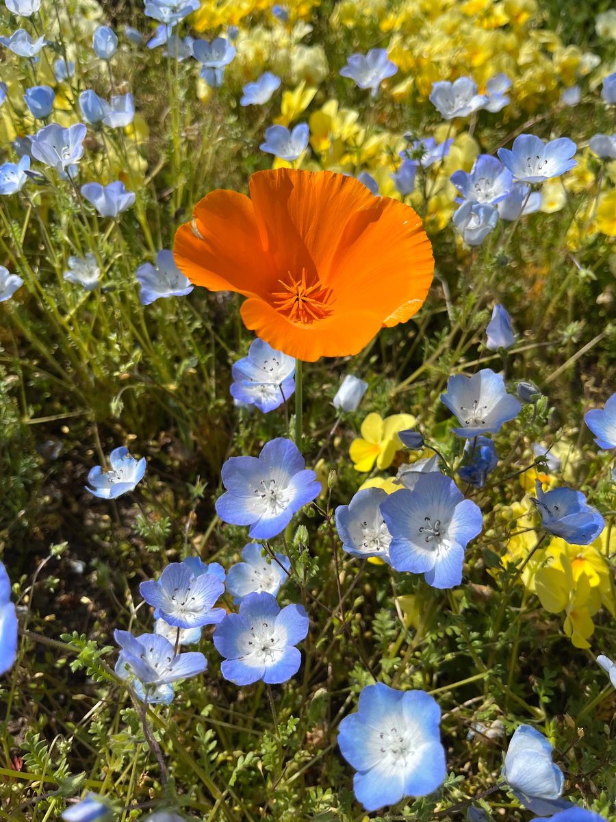 10月15日(火)⛅️
🌻Good morning, Tuesday🌻
皆さんおはようございます💐
今週も宜しくお願いします🙇‍♂️

今日火曜日なんですよね〜😅
間違うとこでした…🥲
かなり寒くなり朝は2枚掛けだけでは寒い感じの仙台です😨

そして今週は4日間勤務なので頑張るよぉ〜🤗

では皆さん笑顔でいってらっしゃい〜🐳