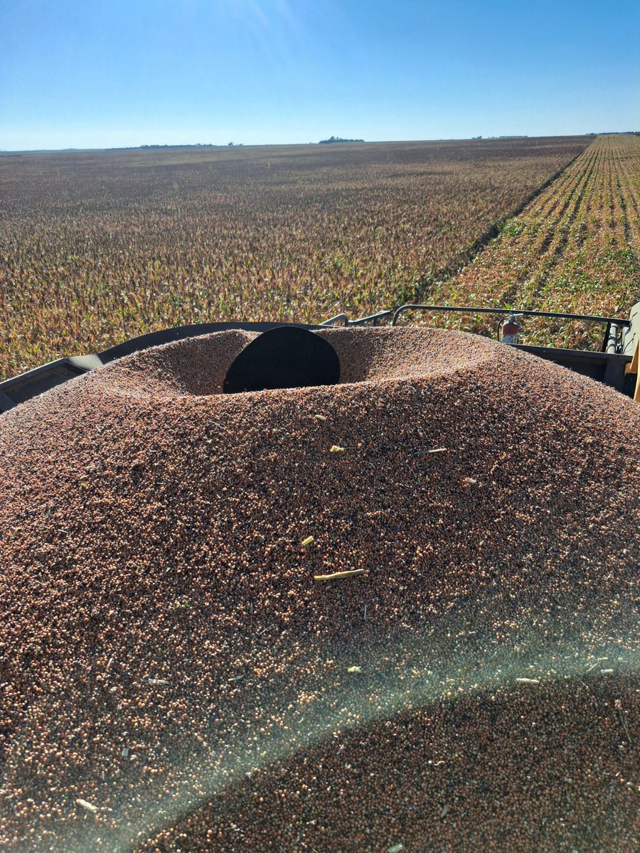 Jim Diamond tweet media