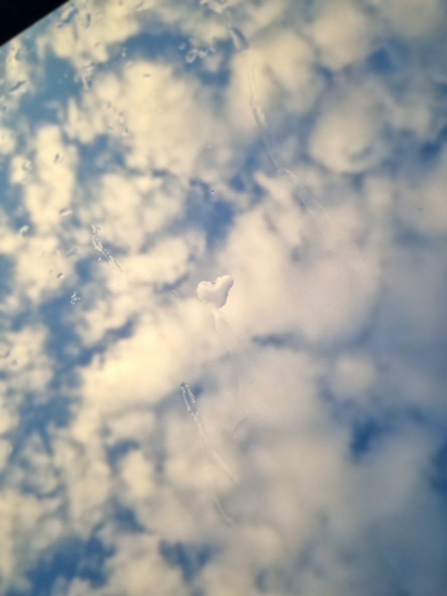 Possibly the best picture I will ever take.