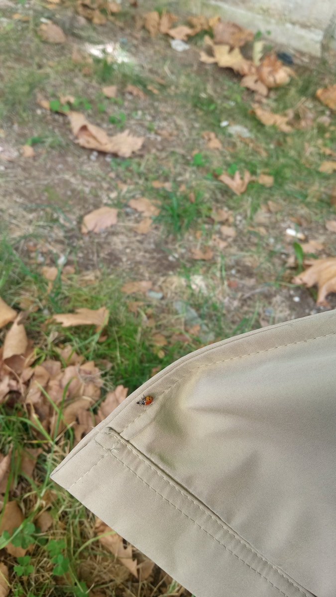 Ay hadi İnşallah köşeyi dönüyorum diye yorumladımm 🥳🥰🥰