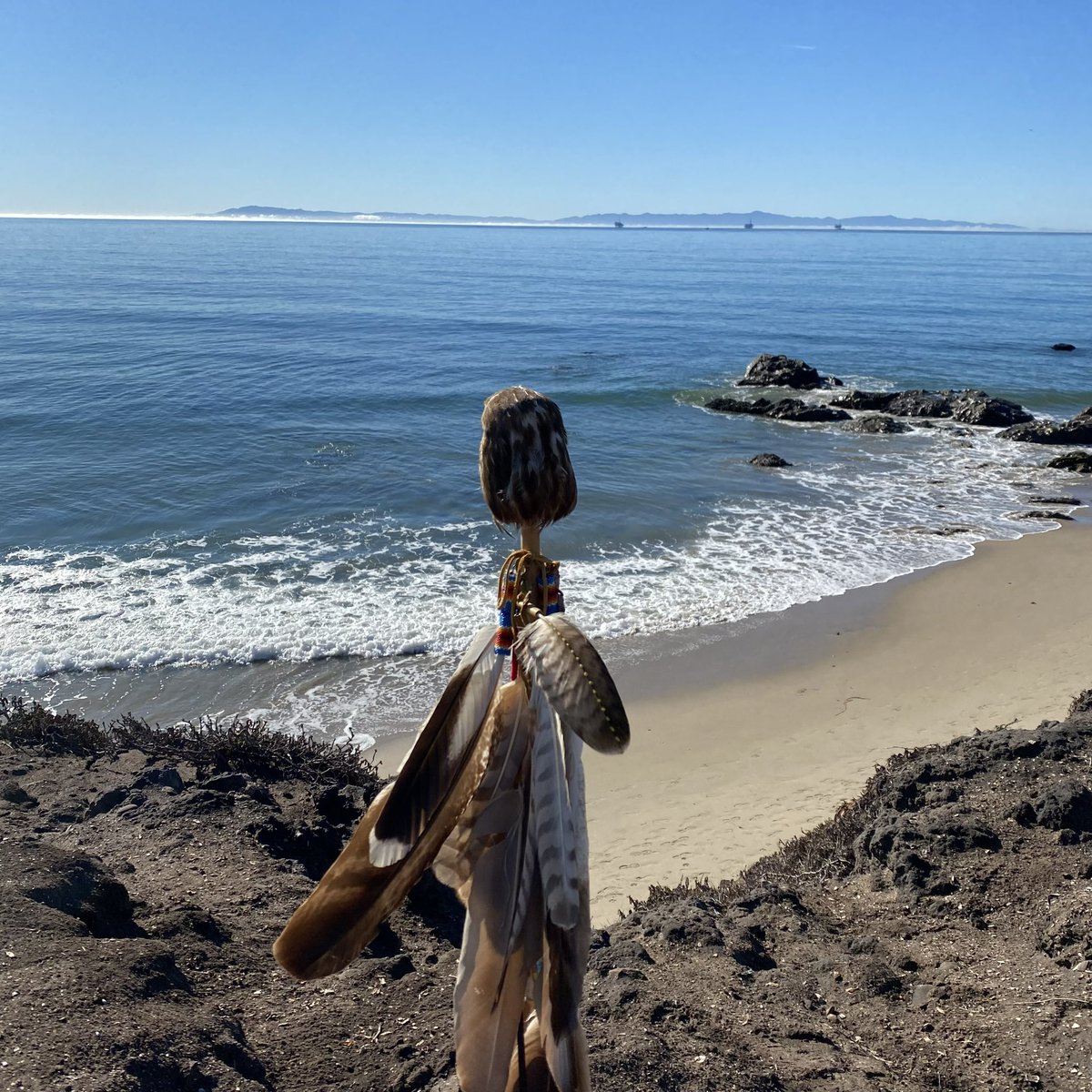 frightful freak tweet media