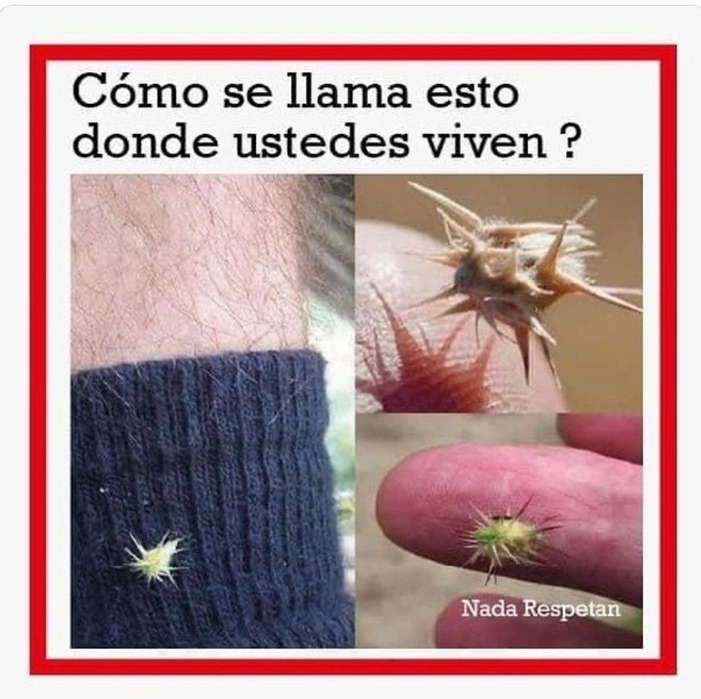 a50pma™ (@a50pma) on Twitter photo 