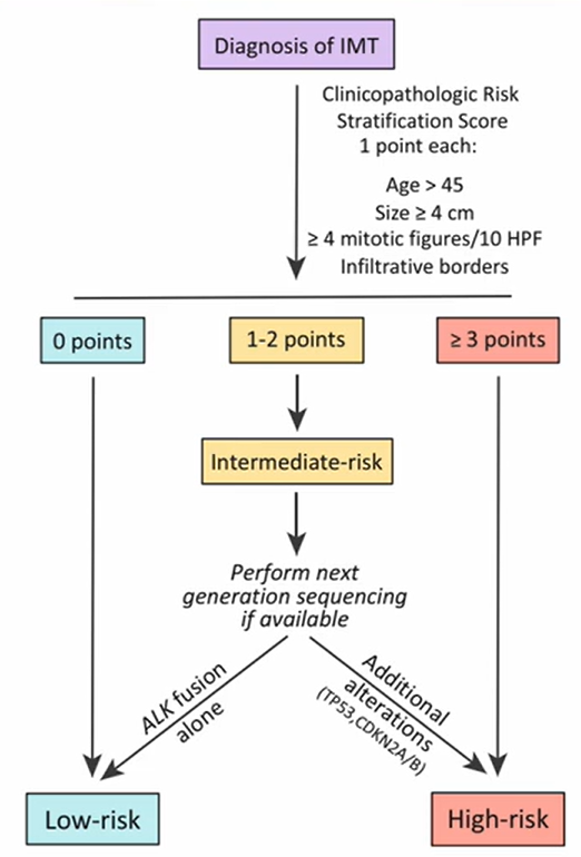 Proposed Risk Stratification Model for Inflammatory Myofibroblastic Tumor (IMT)
It was originally thought that IMTs were benign, but this is not always the case
If tumor falls in the intermediate risk, then it is recommended to do NGS
-Only ALK fusion : Low risk
-ALK fusions and